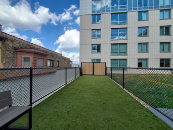 Dog park run at Lakeview 3200 Apartments, Chicago, IL, 60657